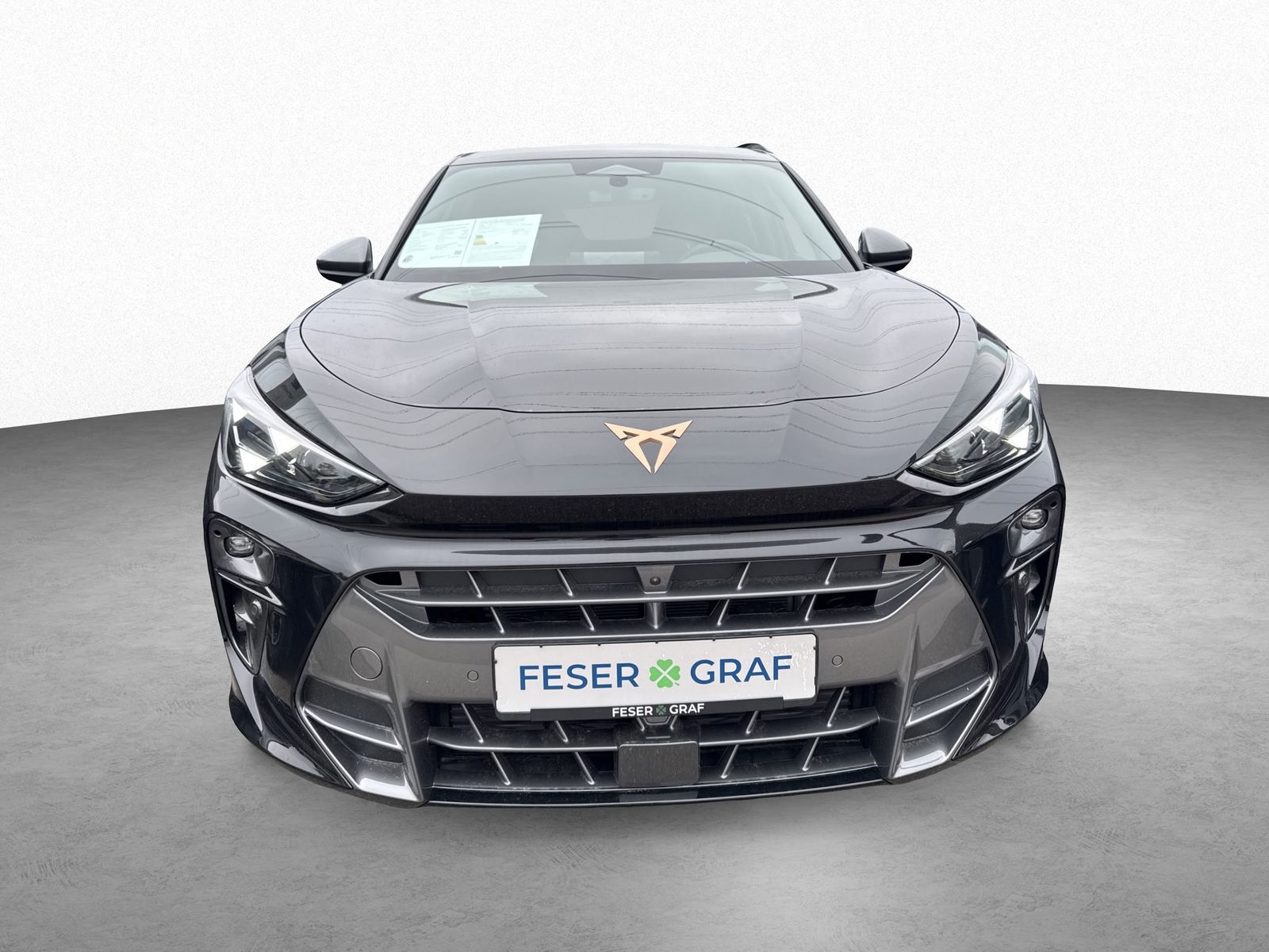 Cupra Terramar - Bild 2