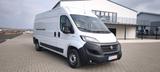 Fiat Ducato - Fiat Ducato von privat