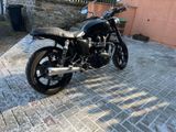 Triumph Bonneville T100 SE Caferacer TÜV+Service neu  - Offers matching your search criteria
