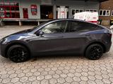 Tesla Model Y Long Range Dual Motor AWD Long Range - Tesla Model Y: Grau