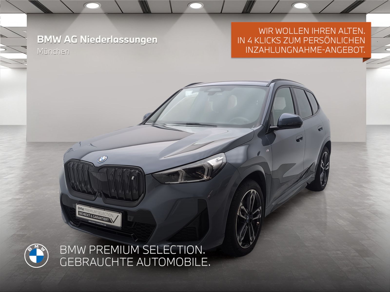 BMW iX1 xDrive30 M Sport AHK Driv.Assist.Prof LED He