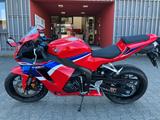 Honda CBR 600 RR (Finanzierung möglich) - HONDA CB600F