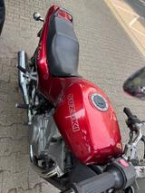 Suzuki VX800 TÜV Neu - Angebote