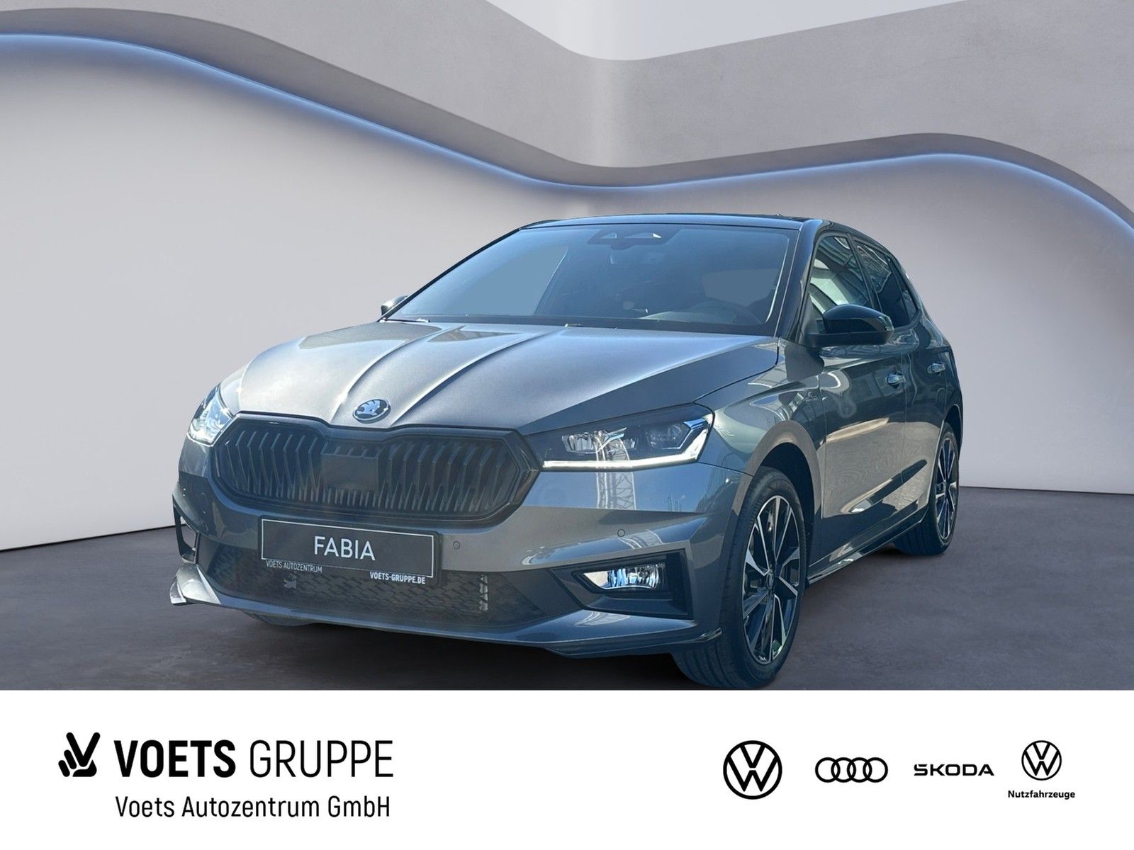 Skoda Fabia Monte Carlo 1.0 TSI DSG FRONTASSIST+LANEAS