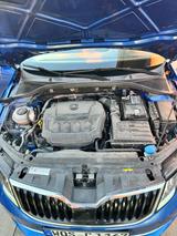 Skoda Octavia 2.0 TSI DSG 4x4 Ambition Combi Ambition - Skoda Octavia: Allradantrieb, 2.0