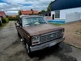 Ford F 250 7.5L V8 Big Block H-Zulassung - Ford: Big Block
