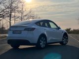 Tesla Model Y SR RWD LFP AHK Tow Hitch All Season