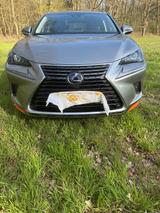 Lexus NX 300 300h E-FOUR - Amazing Edition - gebrauchte Lexus Pickups