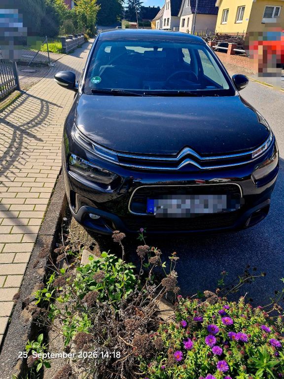Image of Citroën C4 Cactus