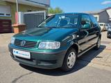 Volkswagen Polo 6N2 1.4 1.Hand Rentnerfahrz. Nur41TKM*Klima - gebrauchte VW Polo aus dem Jahr 2000