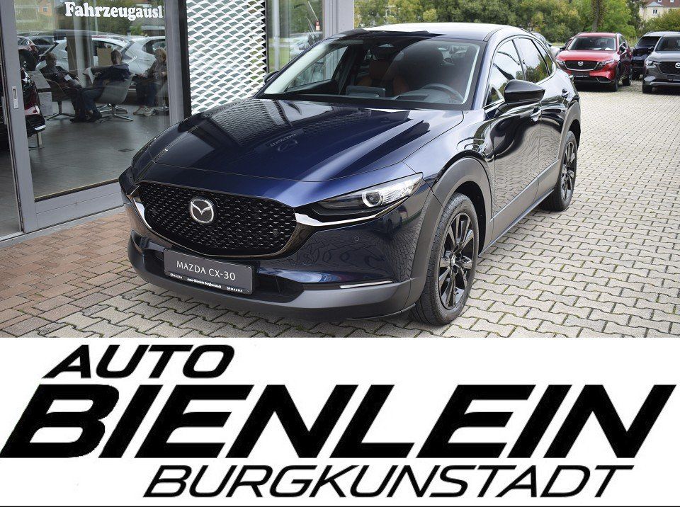 Mazda CX-30 2.5 140PS Nagisa Bose Voll-LED Kamera Navi
