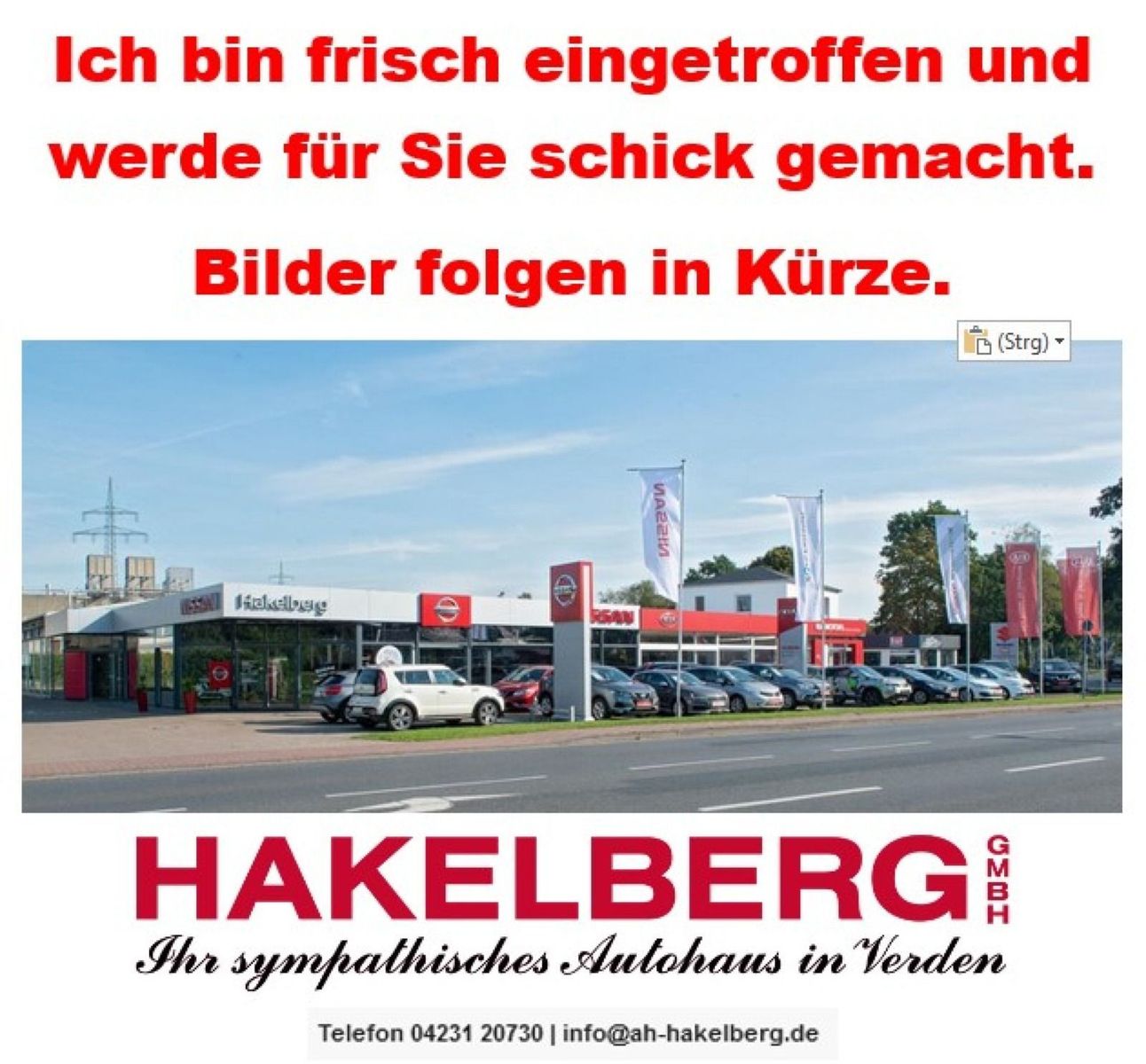 Nissan Navara NP300 4x4 2.3 dCi Tekna Double Cab imagem 2