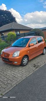 Kia 2005 MODELL KİA  PİCANTO - Kia: Cabrio