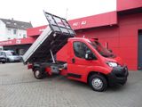 Fiat Ducato Pritsche/DREISEITENKIPPER / AHK - Fiat Ducato: Pritsche
