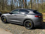 Alfa Romeo Stelvio 2.0 Turbo 16V 206kW B-Tech AT8-Q4 B-Tech - Alfa Romeo Stelvio mit Benzin-Antrieb: Automatik