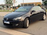 Volkswagen 1.6 TDI  105 Ps, Exclusive Cabrio, SH-Heft,Klima - Volkswagen Golf mit Diesel-Antrieb: Cabrio, 1.6