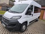 Fiat fiat ducato 12 2019   9-sitzer - Fiat Ducato: Kleinbus, Sitzer 9
