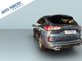 Ford Kuga 1.5 EcoBoost ST-LINE X - Ford Kuga aus 2021