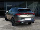Cupra Formentor VZ Tribe Edition 4Drive 2.0 TSI LED Na - Gebrauchtwagen in Rendsburg