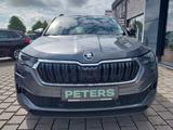 Skoda Karoq Selection TSI DSG Navi Matrix Standhzg. - Skoda Karoq