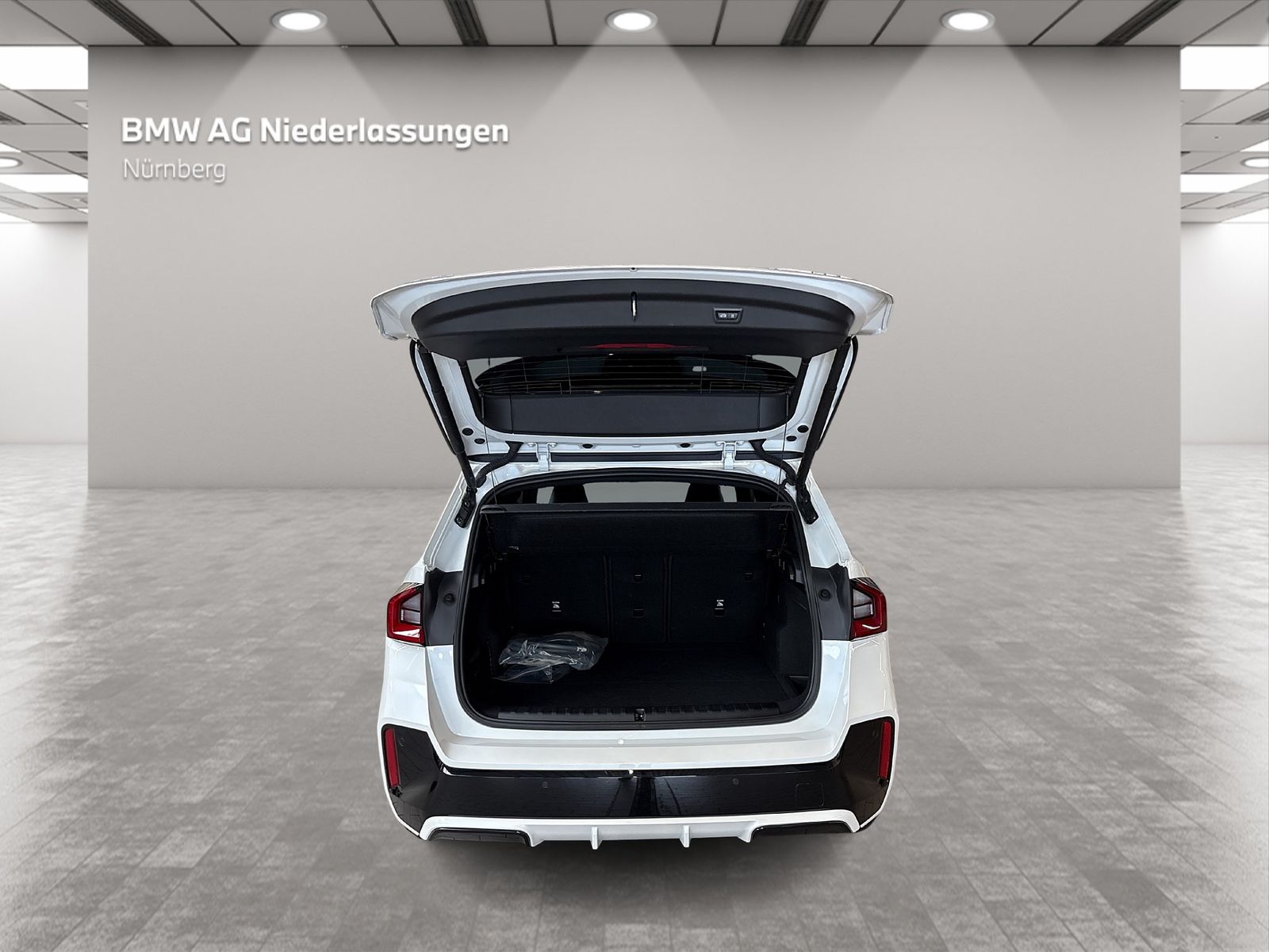 BMW X1 xDrive30e M Sport Driv.Assist.Prof Harman/K foto 11