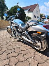 Harley-Davidson V-ROD Jubiläums Edition  - HARLEY-DAVIDSON 2003 V ROD