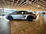 Porsche Cayman 2.9 - 987.2 | Leder |2. Hand - Porsche: Silber
