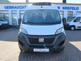 Fiat Ducato 33 L2 Kühlwagen Carrier Xario 350-05 -20° - Fiat Ducato 3 0