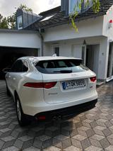 Jaguar F-Pace 20d Prestige Automatik Prestige - Jaguar F-PACE Prestige mit Diesel-Antrieb