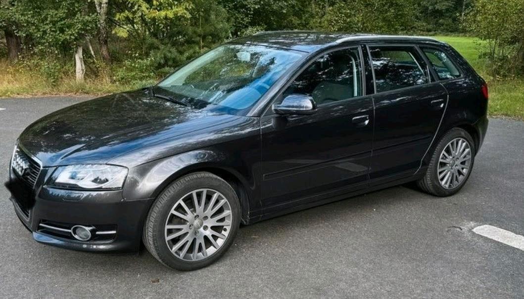 Audi A3 2010 — rear view