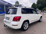 Mercedes-Benz GLK 250 GLK -Klasse GLK 250 CDI BlueTec 4Matic - Mercedes-Benz: Bluetec Glk