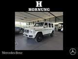 Mercedes-Benz G500 FINAL ED V8 "white" SD STDH MANUFAKTURPAKET