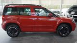 Skoda Yeti Joy DSG  4x4 *1 HAND*AHK*XENON*PANO*LED*SHZ - Skoda Yeti: Dsg