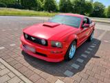 Ford Mustang GT , 4,6l  V8 - Ford Mustang aus 2006: Coupe