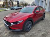 Mazda CX-30 Prime-Line 2WD Klima-LED-Navigation-HeadUp - Mazda CX-30: Prime Line