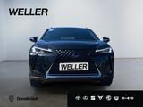 Lexus UX 250h Amazing Edition *Bi-LED*ACC*CAM*CarPlay* - Lexus UX aus 2020