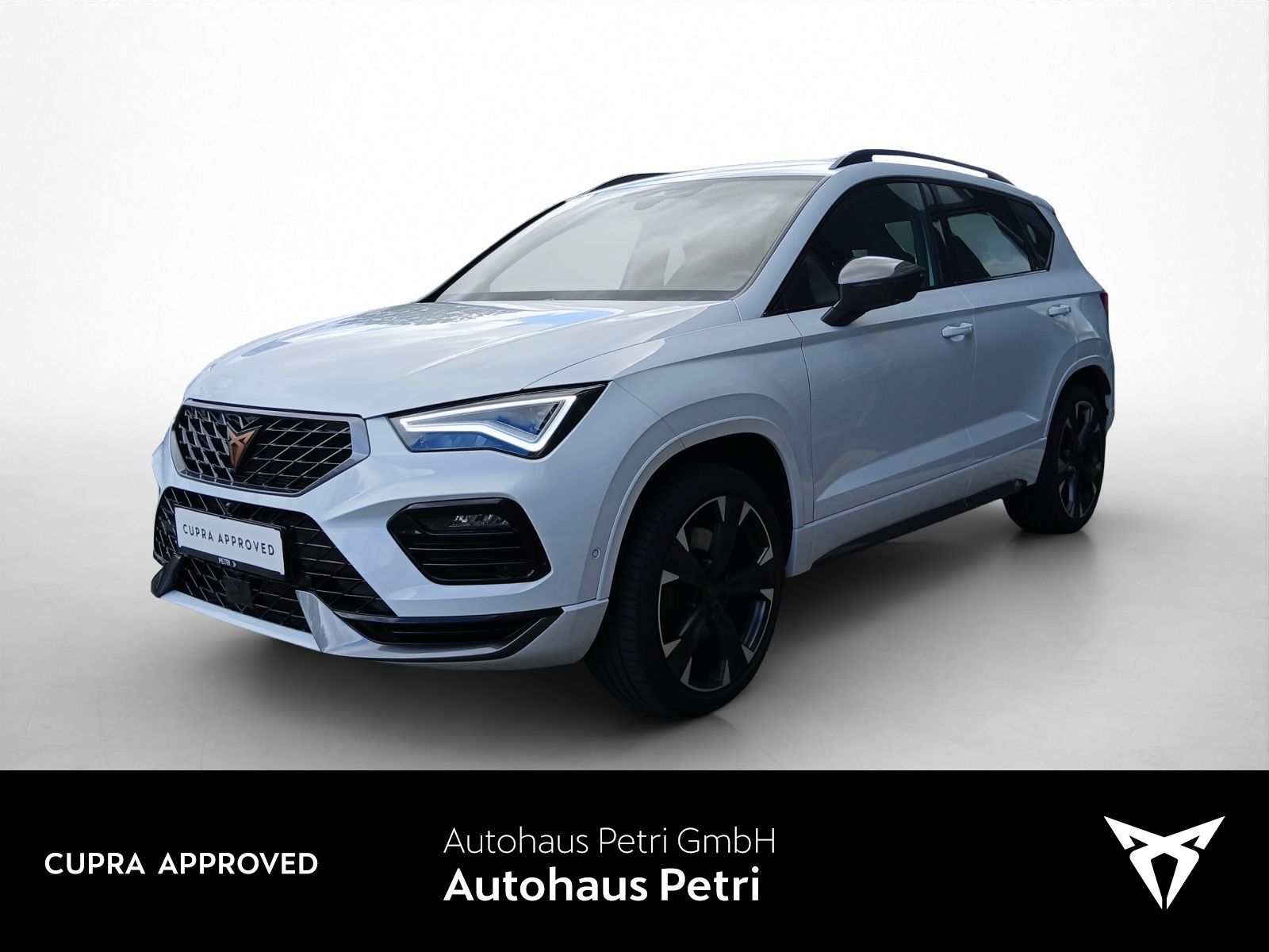 Cupra Ateca 2.0 TSI AHK KAM PDC LED SHZ KEYLESS foto 1