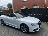 Audi A5 3.0 TDI 180kW S tr. quat. Cabriolet - - Audi in Bremen: Q1