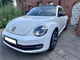 Volkswagen VW New Beetle Käfer / TÜV bis 03.2027 / 2t... - Volkswagen: Kaefer