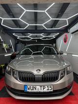 Skoda Octavia 1.5 TSI ACT Ambition Ambition - Skoda Octavia: Beige, Standheizung