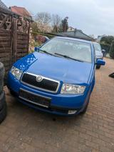 Skoda Fabia 6y - Skoda Fabia 6Y mit Benzin-Antrieb