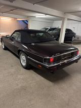 Jaguar XJS 6.0 Cabrio  original 77100 km Dt.Fahrzeug H - Jaguar aus 1993