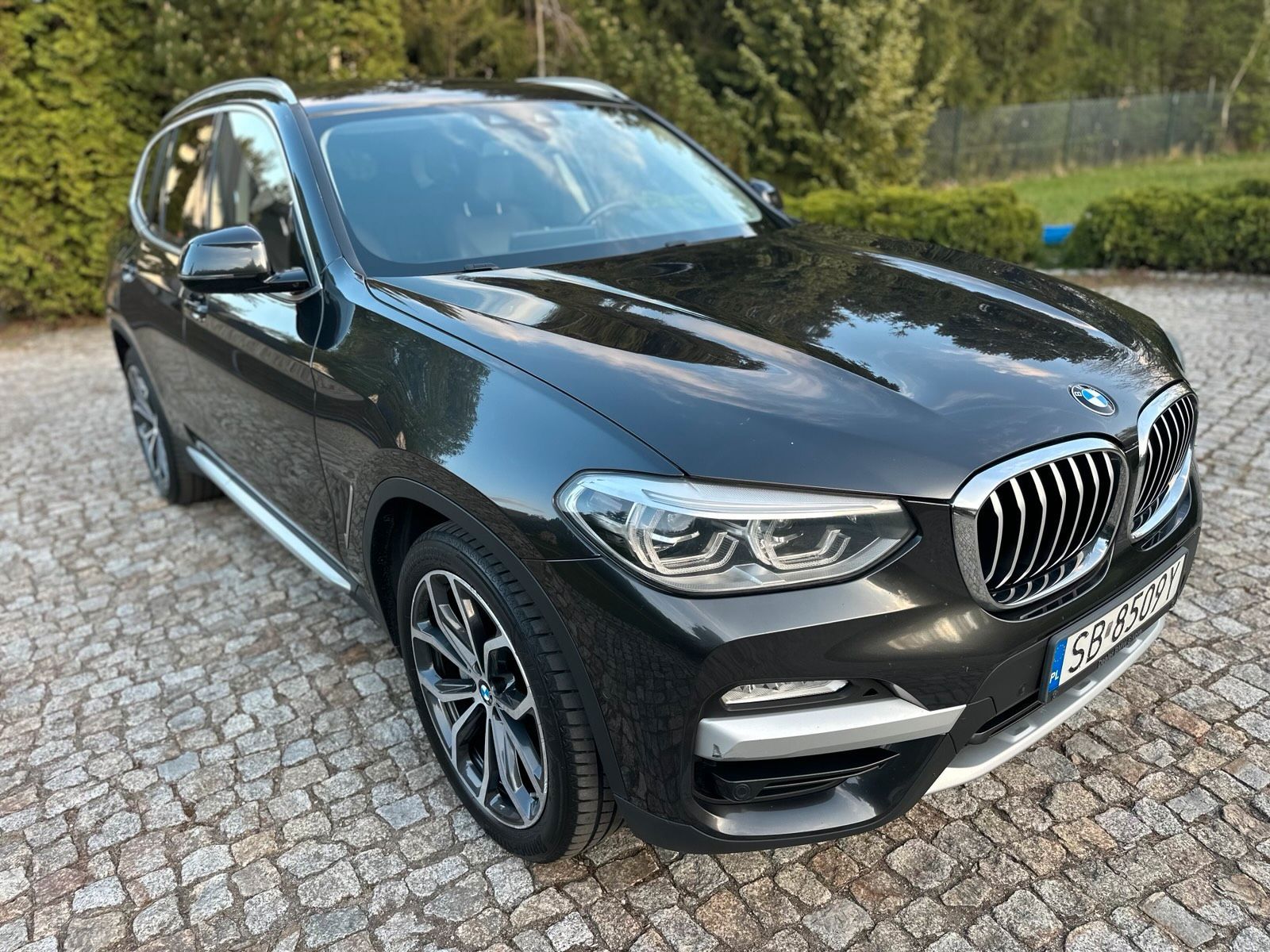 BMW BMW X3 G01 xDrive 25d Polnischer Salon xline