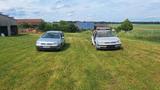 Volkswagen VW Golf IV Variant 1.9 TDI, TÜV bis 09/202... - Volkswagen Golf: Iv Variant TDI