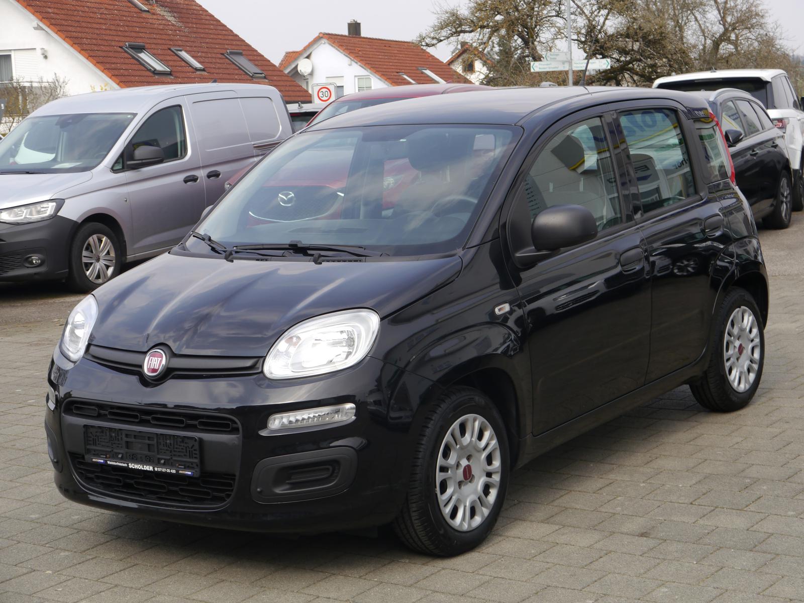 Fiat Panda Easy