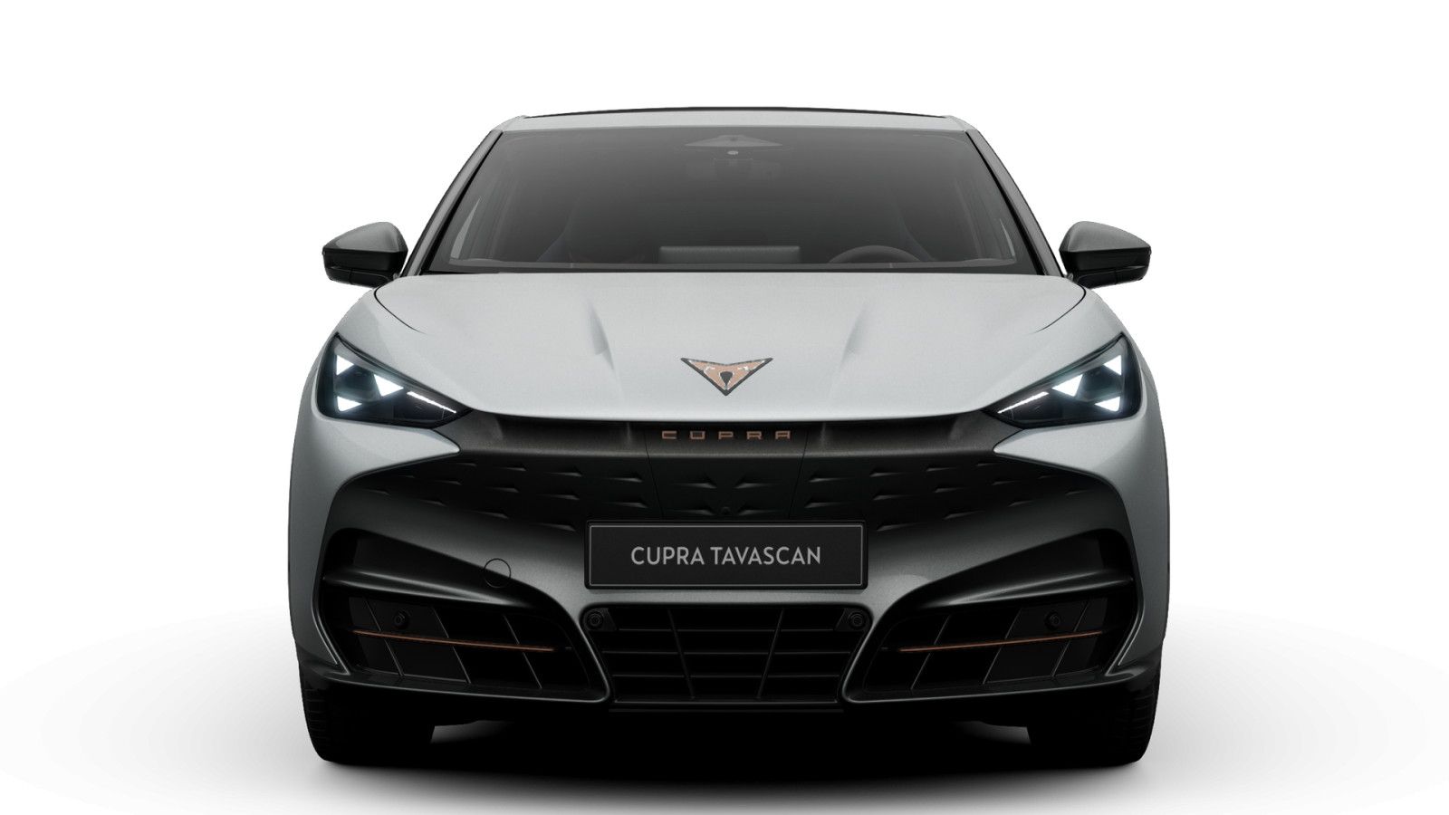 Cupra Tavascan Endurance 77 kWh imagem 3