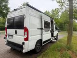 Roller Team Livingstone 2 Prestige  - Roller Team Kastenwagen