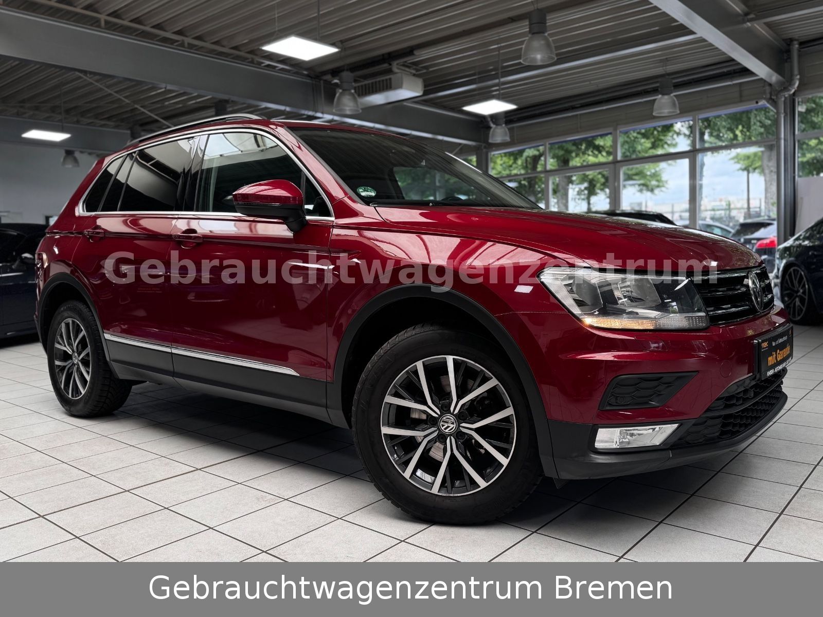 Volkswagen Tiguan - 1