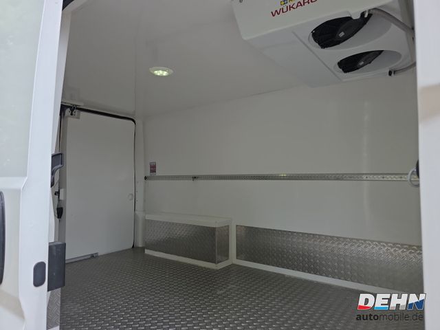 Citroën Jumper Kasten Business 33 L2H1 BHDi Kühlausbau