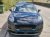 Ford Puma Titanium - Ford: Kleinwagen